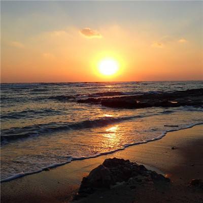 爱体育官方网站app下载