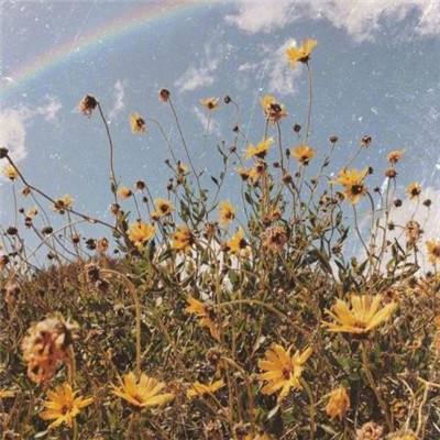 打鱼下载下载手机版截图