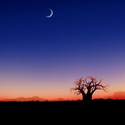 BOB彩票·(中国)平台APP下载