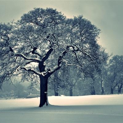 beat365平台下载手机版