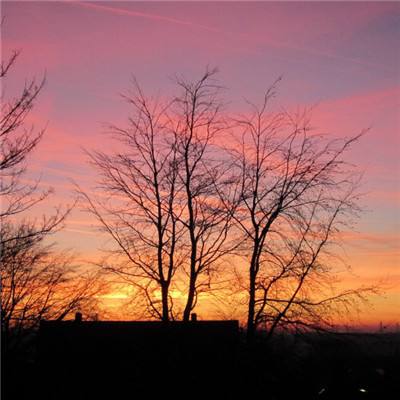 博鱼·综合体育APP下载安装