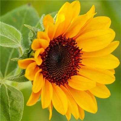 安博.体育下载手机版截图